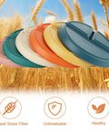 12 Pack Portion Control Divided Plates For Adults, 9 Inch Unbreakable Dinner Plates, six color options displayed on wheat backdrop.