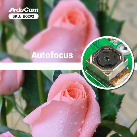 4K 8MP IMX219 Autofocus USB Camera Module with Built In Microphone for ultra clear close-up focus shown with pink roses