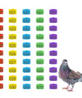8mm Pigeon Leg Bands Set For Poultry With Laser Etched 001 To 100 In Five Colors Plastic Chicken Tags shown with pigeon