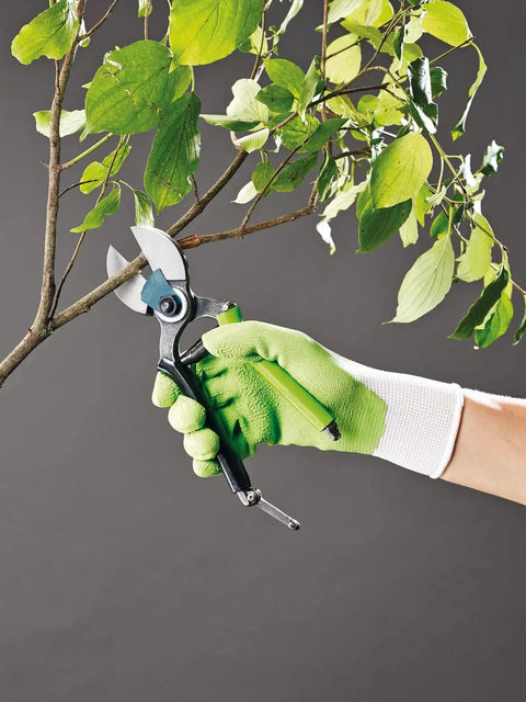 Top Shelf Double Cut Pruning Shears Crafted From Durable Forged Steel With Tempered Blades To Slice Through Fruit Trees Like A Hot Knife Through Butter While The Comfortable PVC Coated Grip Makes Trimming Feel Like A Breeze