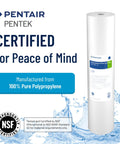 Image of Big Blue 20 Inch Whole House Sediment Filter Cartridge, 5 Micron, Dual Gradient Density Spun Polypropylene, DGD-5005-20 showing NSF certification and water splash design.