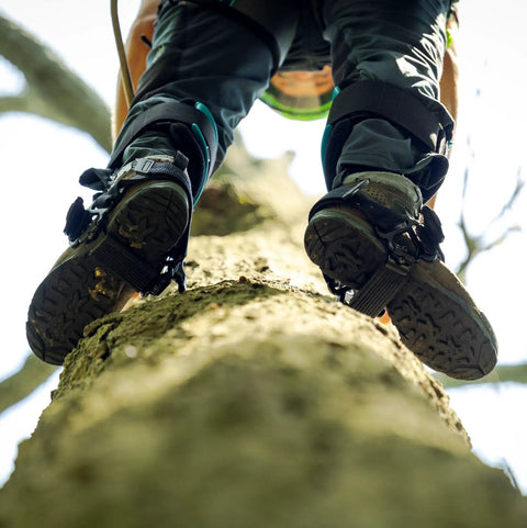 Steel Tree Climber Gaffs With Ergonomic Shank And 20 Plus Cuff Adjustment Points in use on a tree trunk from below view
