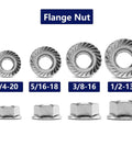 Close-up of flange nut set; includes Three Eighths Inch Serrated Flange Hex Lock Nuts Hundred Pack In 304 Stainless Steel 18 8.