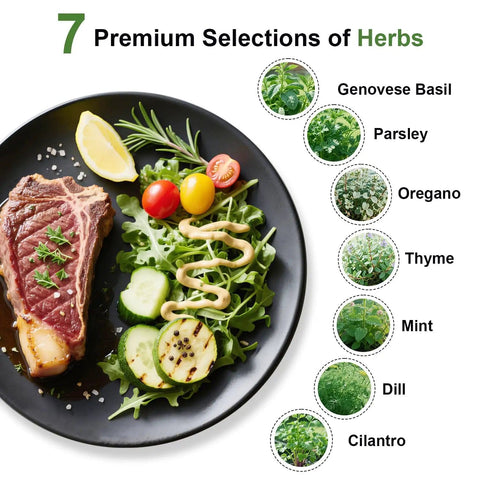 Indoor Hydroponics Herb Seed Pod Kit With Basil Parsley Thyme Mint Cilantro Dill Oregano Includes 7 Seed Pods Growth Sponges