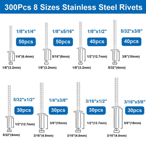 300 pieces 8 sizes stainless steel rivets with dimensions and quantities labeled