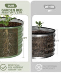 Comparison of oval galvanized raised garden bed 1.4 ft high with root growth and standard 1 ft bed for vegetables and herbs.