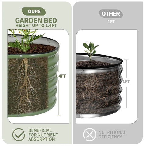 Comparison of oval galvanized raised garden bed 1.4 ft high with root growth and standard 1 ft bed for vegetables and herbs.