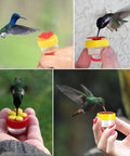 Grab And Go Four Piece Hummingbird Ring Feeder Kit with durable ABS plastic handheld bird feeders in use by birds