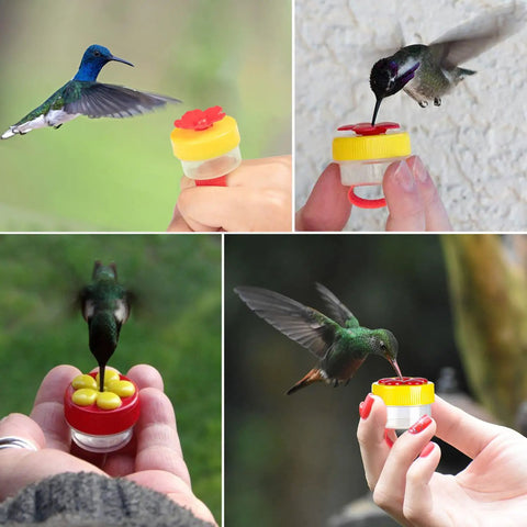 Grab And Go Four Piece Hummingbird Ring Feeder Kit with durable ABS plastic handheld bird feeders in use by birds