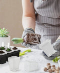 Person holding a plant with roots above a Clear 3 Inch Nursery Pots With Saucers, 30 Pack Thick Plastic Seedling Planter Pots, Square Shape Plant Pots