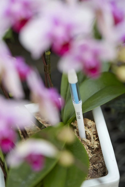 Aquameter Leave In Soil Moisture Sensor Pen Set Of Five White Small For Two Point Five And Three Inch Pots Ideal For Succulents With Continuous In Soil Monitoring And Easy Garden Care, white sensor pen in orchid pot