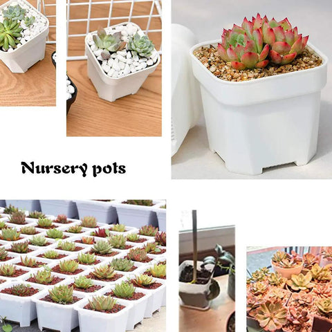 Set Of 24 White Square Plastic Plant Pots With Saucers 3 Inch Seedling Planters For Succulents And Flowers Drainage Holes Indoor Outdoor Garden Home Office Balcony Decor