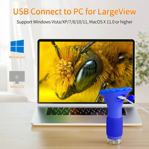 USB connected Kids Digital Microscope With 2 Inch IPS Display, 1000X Magnification showing bee close-up on laptop screen