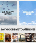 Image showing 'Air Quality Before and After' using Replacement Filter B With Activated Carbon Pre Filters for Guardian Air Purifier.
