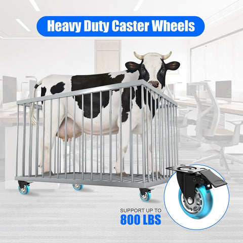 Four 2-inch plate caster wheels with brakes; blue polyurethane wheels, heavy-duty 800 lb capacity