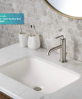 Ramus Single Handle Bathroom Sink Faucet With Lift Rod Drain in Spot Free Stainless Steel installed on a vanity sink