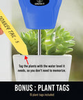 Soil Moisture Meter For Plants No Guesswork Quick Accurate Hydrometer For Indoor Houseplants And Outdoor Gardens Stop Overwatering With Easy Fast Water Readings And Real Time Soil Moisture Levels, blue probe in succulent pot with plant tag
