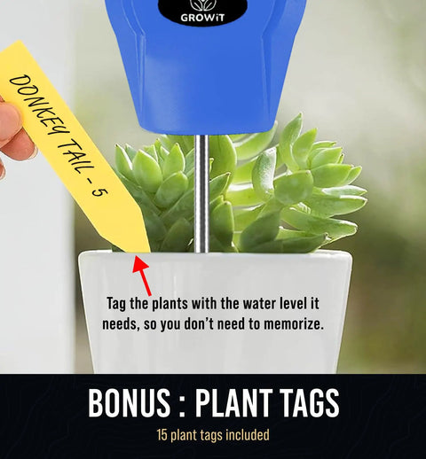 Soil Moisture Meter For Plants No Guesswork Quick Accurate Hydrometer For Indoor Houseplants And Outdoor Gardens Stop Overwatering With Easy Fast Water Readings And Real Time Soil Moisture Levels, blue probe in succulent pot with plant tag