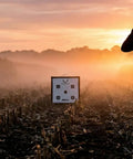 Archer with compound bow near Backyard Crossbow Target With 650 FPS Stopping Power at sunset in a field.