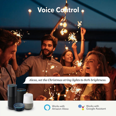 Group celebrating under string lights controlled by Outdoor Smart Dimmer Plug For String Lights And LED Filament Halogen Lamps.