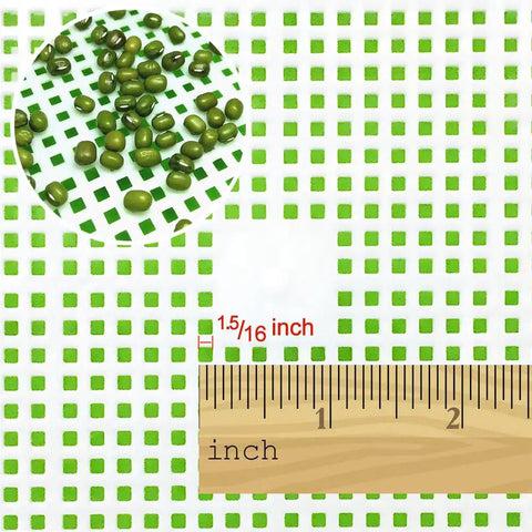 Close-up of Soil-Free Seed Sprouter Tray With Lid BPA Free PP Material Big Capacity Sprouting Kit For Wheatgrass And Seeds No Soil Needed Easily Grow Fresh Sprouts For Salads Plus Handy Storage with ruler and seeds.