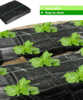 Tough As Nails Heavy Duty Garden Weed Barrier Fabric With Planting Holes 26 By 6.5 Feet Weed Blocking Landscape Cloth installed outdoors.