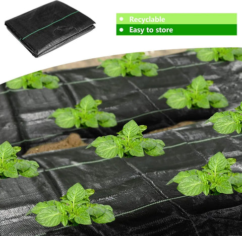 Tough As Nails Heavy Duty Garden Weed Barrier Fabric With Planting Holes 26 By 6.5 Feet Weed Blocking Landscape Cloth installed outdoors.