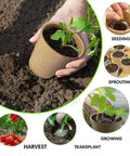 All In One Seedling Starter Kit With Biodegradable Peat Pots Coco Coir Soil Discs And Plant Markers for Easy Seed Germination