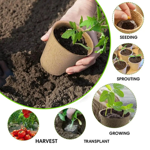 All In One Seedling Starter Kit With Biodegradable Peat Pots Coco Coir Soil Discs And Plant Markers for Easy Seed Germination