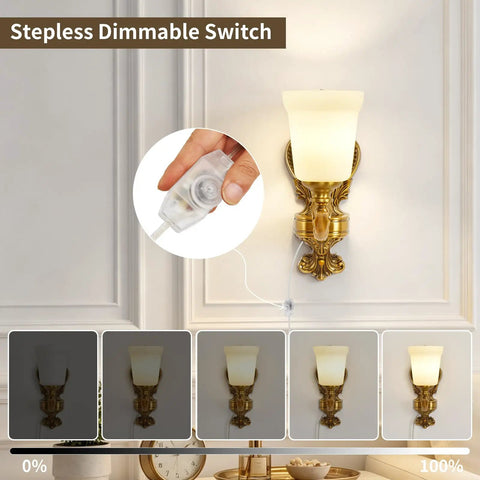Plug in Wall Sconce, Dimmable Vintage Gold Wall Lamp 0%-100% Brightness with stepless dimmable switch and frosted glass shade.