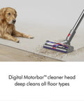 Vacuum cleaner head on carpet showing V15 Detect Plus Cordless Vacuum With Illumination Revealing Dust, 240AW Suction, pet nearby