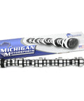 Stage Four Burnout Camshaft For GM LS Engines Packing Mean Choppy Idle And Straight Fire Tire Shredding Power With Valve Springs, with box.