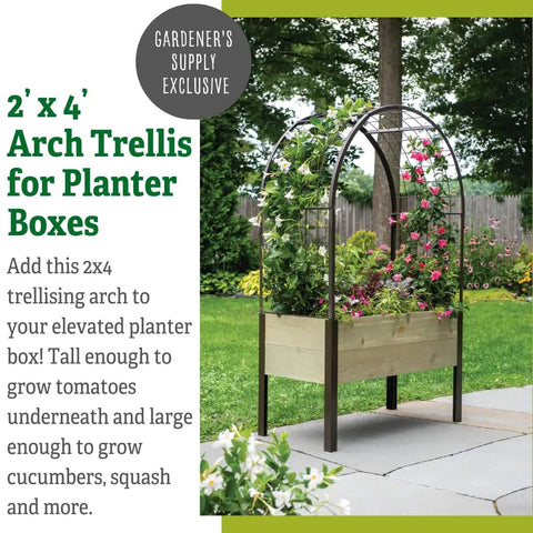 Arch Trellis For Elevated Planter Boxes 2x4 Garden Arbor For Climbing Plants Vegetables And Flowers, Heavy Duty Steel Frame, Easy On The Eyes Way To Add Style And Maximize Space In Your Raised Bed with climbing flowers
