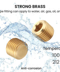 Brass Pipe Fitting Hex Countersunk Plug One Quarter Inch NPT shown with anti-corrosion and temperature details