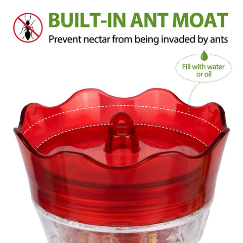 Close-up of the Glass Hummingbird Feeder Outdoor Hanging with Built In Ant Moat and Four Bee Guard Perches, red theme.