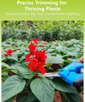 Using Two Pack 6.5 Inch Garden Scissors Pruning Shears For Small Plants with razor sharp blades on red flowers