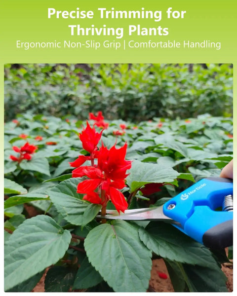Using Two Pack 6.5 Inch Garden Scissors Pruning Shears For Small Plants with razor sharp blades on red flowers
