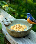 Ceramic Bird Bath Bowl For Outdoor Garden Waterer And Feeder Sturdy Bird Water Dish Easy To Clean Attract Birds To Your Backyard Courtyard Patio Decor Ideal For Garden Or Balcony with decorative birds and seeds on a wooden surface.