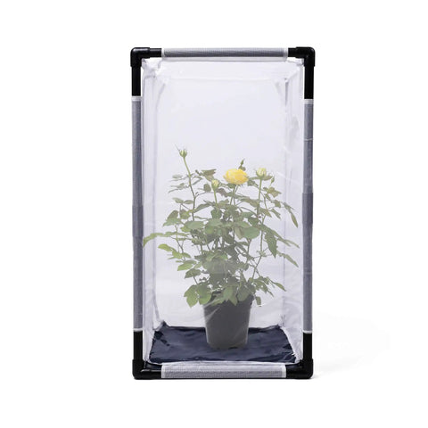 Large Monarch Butterfly Habitat Cage For Outdoor Use Insect Mesh Terrarium 30 Inch Tall With Weatherproof PVC Frame Durable Nylon Netting