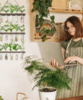 Your Go To Wall Hanging Propagation Station With Wooden Stand, Five Glass Test Tubes And Three Tier Planters displayed in home office