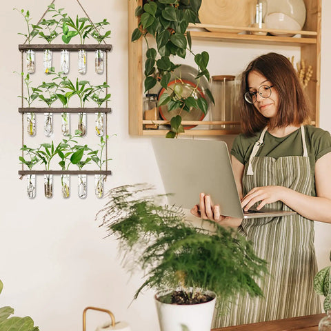Your Go To Wall Hanging Propagation Station With Wooden Stand, Five Glass Test Tubes And Three Tier Planters displayed in home office