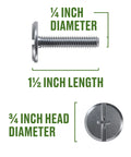 Tough Stainless Hurricane Bolts Set For Storm Panels With Phillips And Slotted Drive Quarter Inch By Twenty Threads Per Inch By One And One Half Inch Corrosion Resistant Fasteners For Structural Security And Concealed Low Profile Truss Head, showing bolt dimensions