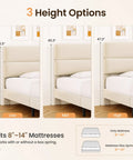 Queen Size Platform Bed Frame With Plush Velvet Headboard And Extra Thick Wooden Slats Delivers Rock Solid Mattress Support For Major Room Refresh Vibes And Hassle Free Setup In Beige height options illustration