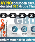 Heavy Duty Manual Chain Winch Lever Hoist 13200 Lbs with G80 Grade Chain for Industrial Use