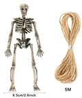 Six Pack Five Point Nine Inch Poseable Mini Skeleton Figurines Distressed Plastic Skeletons with jute rope for decor