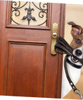 Dog with leash in mouth at wooden door, ready to go out, showcasing the entrance and gold handle detail.