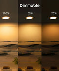 Dimming room lighting showing BR30 Smart LED Bulb With WiFi Multicolor RGB Dimmable And Energy Efficient 16 Million Colors Works With Alexa And Google Assistant Hands Free Voice Control A No Brainer For Living Room Or Bedroom 4 Pack at 100%, 50%, and 20% brightness in art-adorned room with plant accents