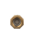 Zurn Wilkins 700XL dual check valve, brass body, 1 in. female union inlet and 1 in. female outlet (top view)
