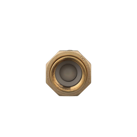 Zurn Wilkins 700XL dual check valve, brass body, 1 in. female union inlet and 1 in. female outlet (top view)