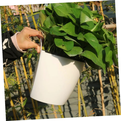 Person holding a white plastic pothos planter; part of Six Piece Wall Mounted Round Plastic Pothos Planters With Self Watering System For Indoor Balcony Gardens Hydroponic Hanging Flower Pots Set For Home And Office Decor.